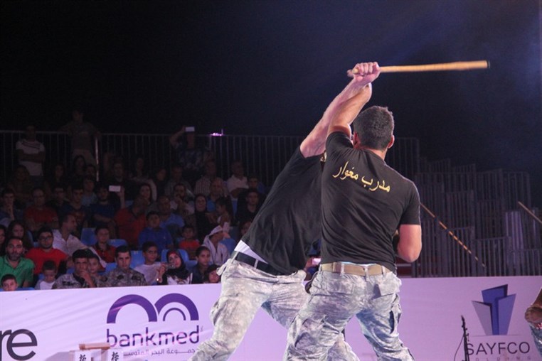 Martial Arts Festival